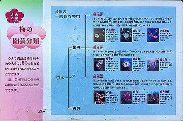 image1 (6)_thumb.jpg